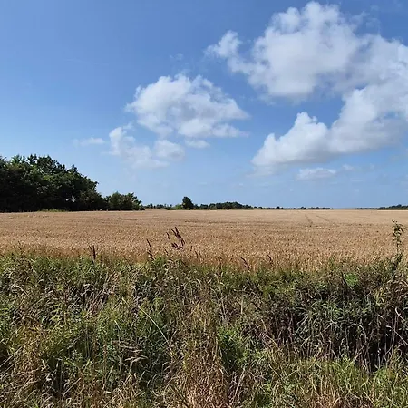 6 Person In Skaerbaek-by Traum 別荘 Skærbæk